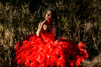 ANDREA XY-2
