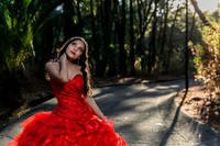 ANDREA XY-6